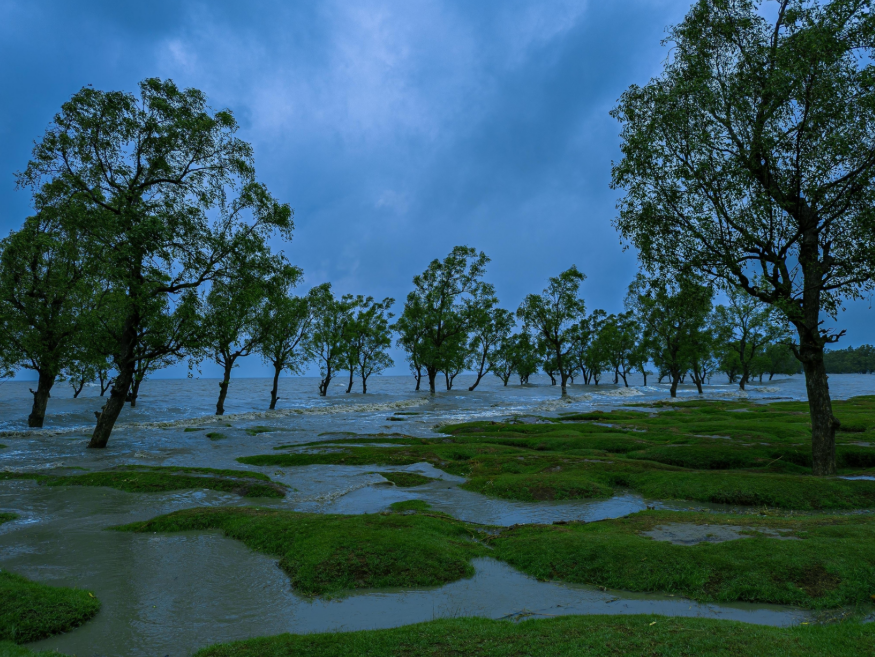 Guliakhali Sea Beach